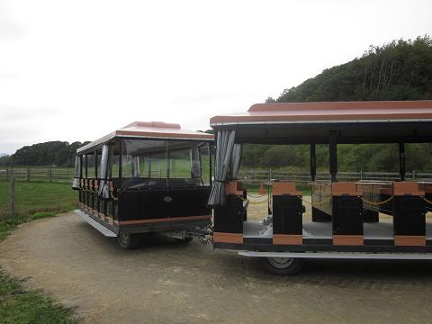 c0234938_2319785.jpg
