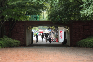 e0156339_23152611.jpg