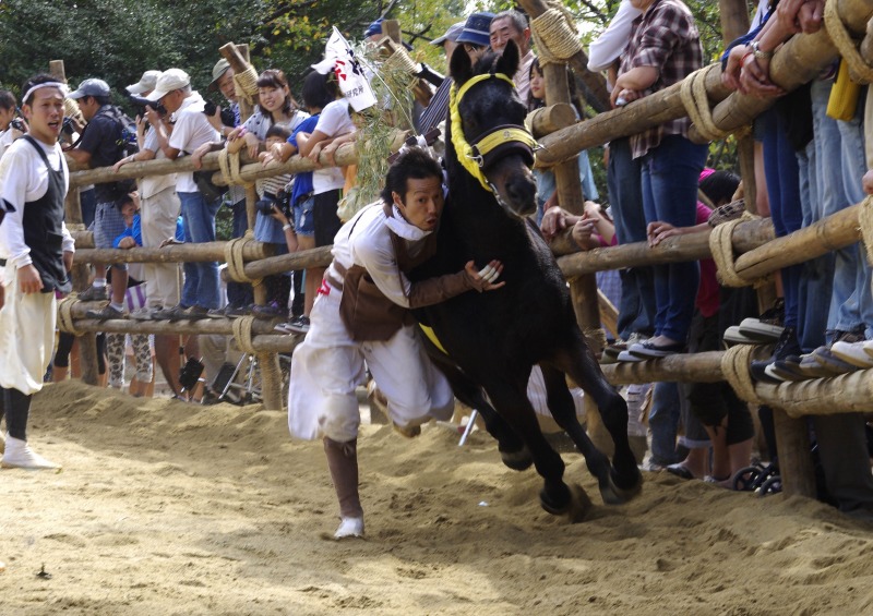 高浜おまんと祭り