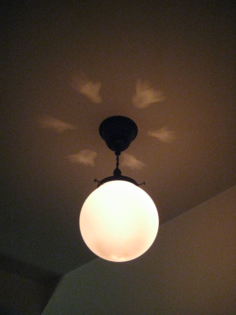 a0258856_0555457.jpg
