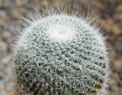 b0254058_820639.jpg