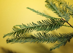 b0254058_844775.jpg