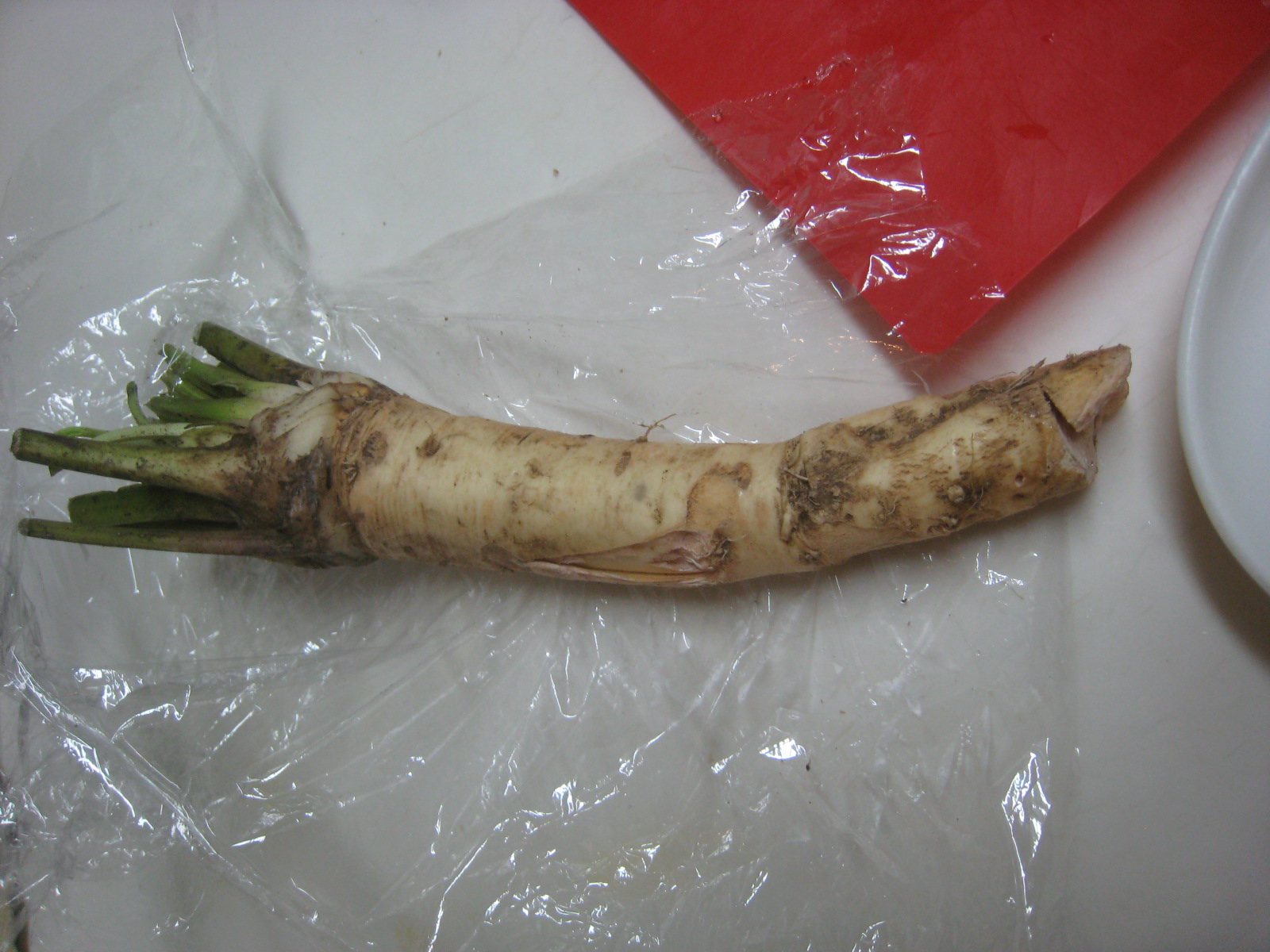 e0121558_235271.jpg