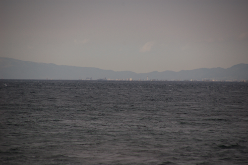 d0083859_1119169.jpg