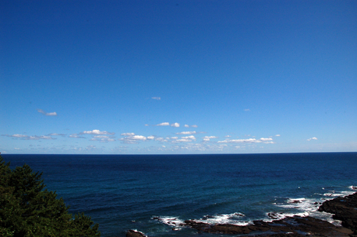 d0083859_11383244.jpg