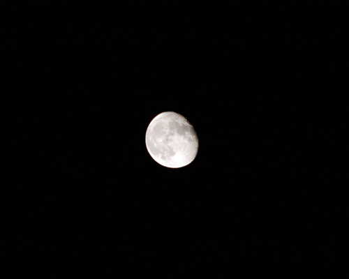 d0083859_11432486.jpg