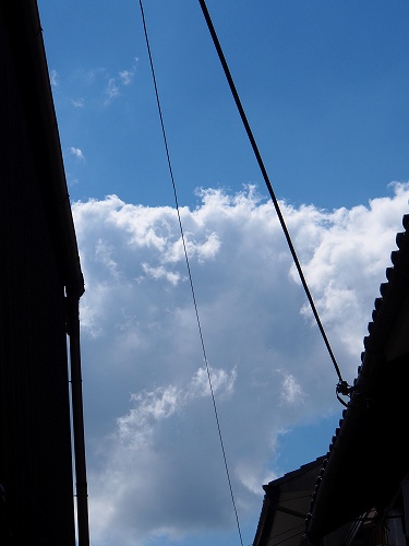 f0211463_12242075.jpg