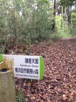 c0141268_2357562.jpg
