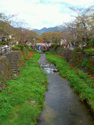 b0164670_1550739.jpg