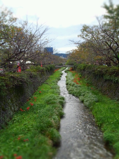 b0164670_15521054.jpg