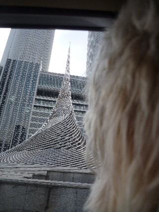 e0161972_18464615.jpg