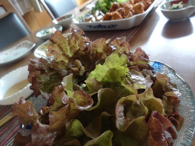 f0219674_21304870.jpg