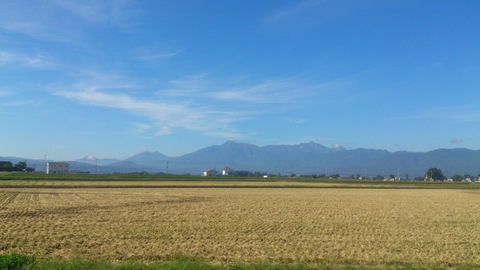 d0182179_1156246.jpg