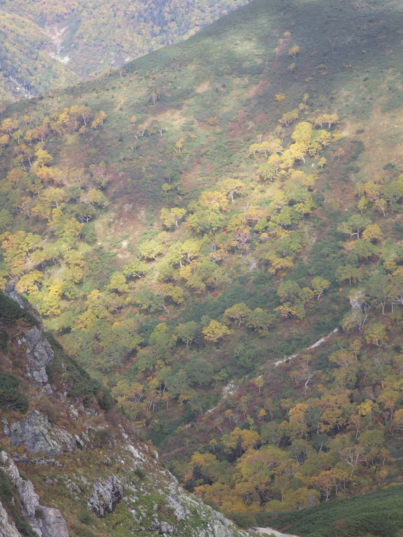 a0094280_851490.jpg