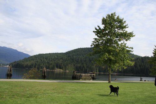 d0114280_2223959.jpg