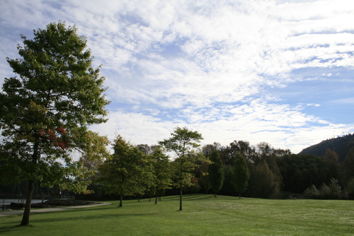d0114280_2262654.jpg