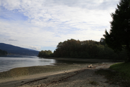 d0114280_2355777.jpg