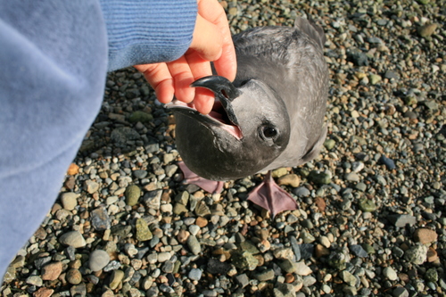d0114280_2573869.jpg
