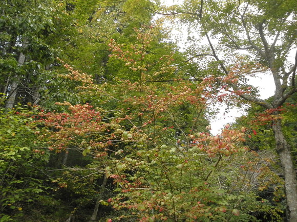 b0208981_20371032.jpg