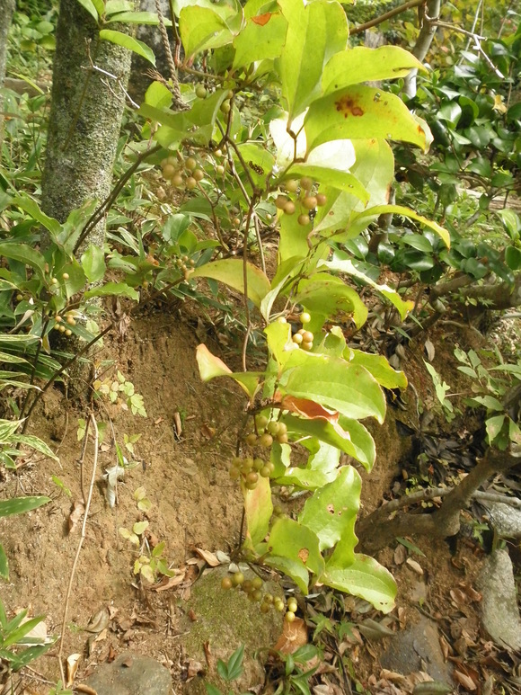 b0208981_20463177.jpg