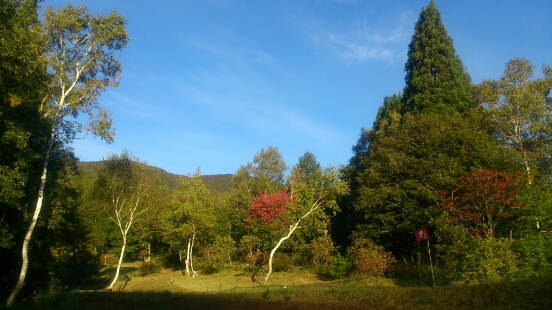 f0202990_18274884.jpg