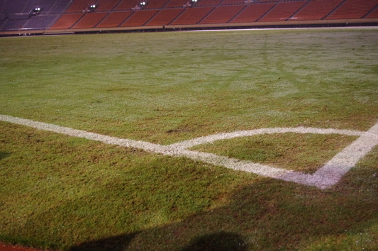 c0068891_11411167.jpg