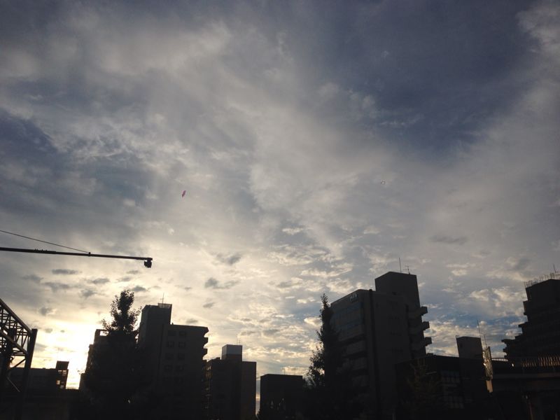 d0135694_1195280.jpg