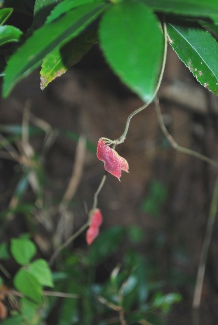 e0025300_2162721.jpg