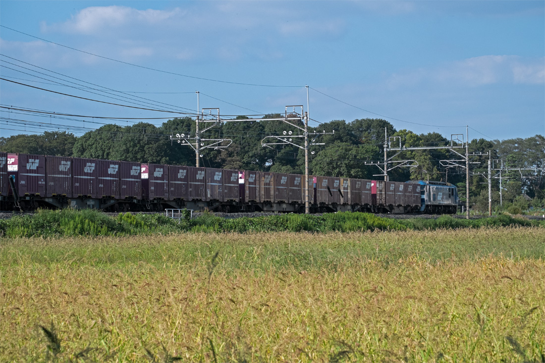 b0221605_9205233.jpg