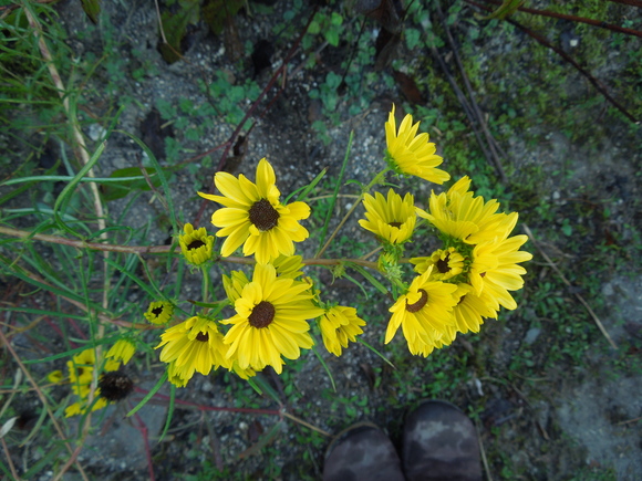 f0297809_2112224.jpg