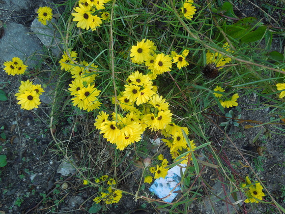 f0297809_213095.jpg