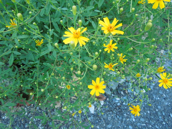 f0297809_2154344.jpg