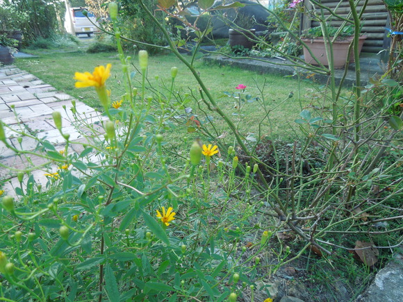f0297809_2172876.jpg