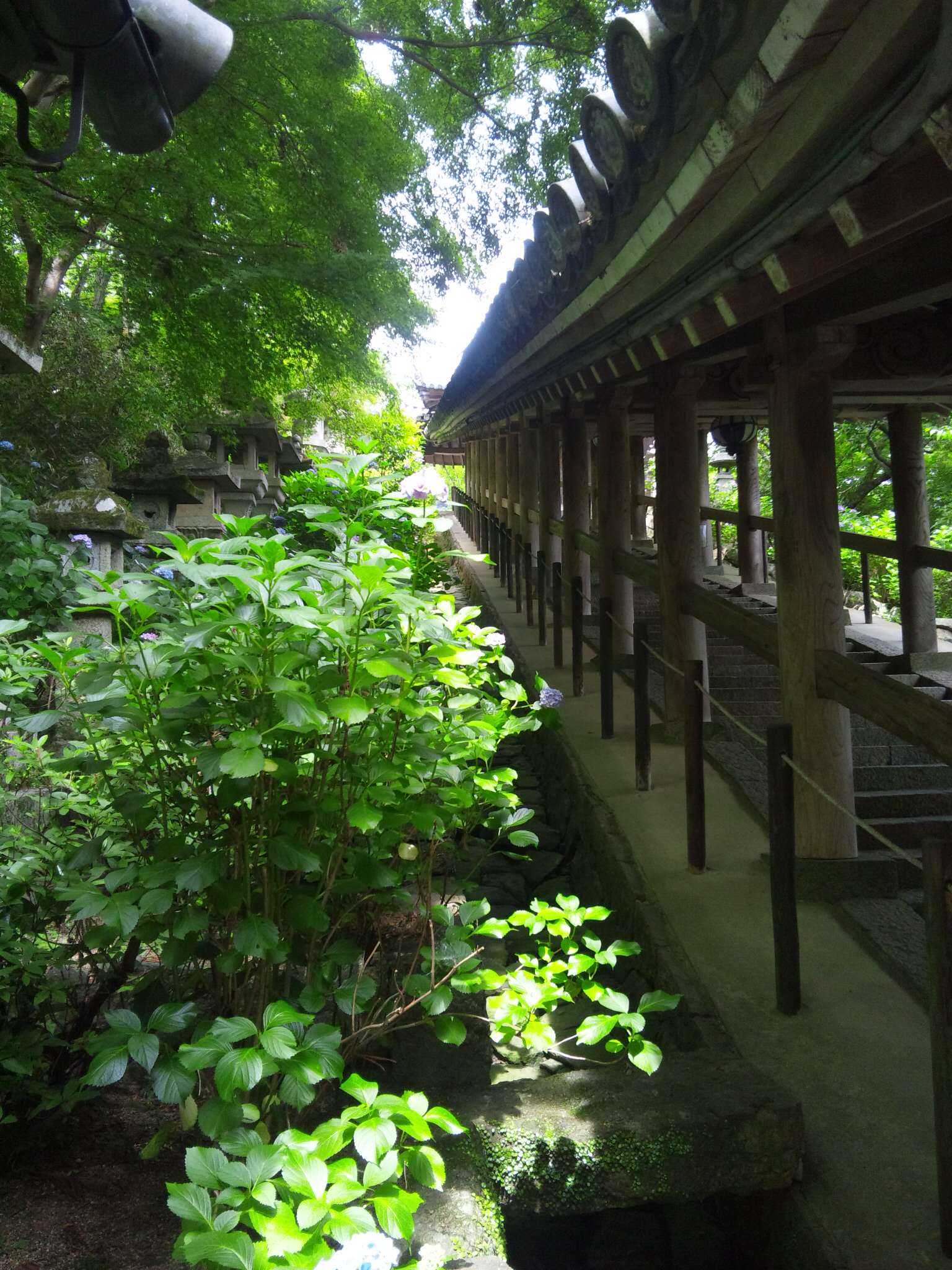 f0223014_20142144.jpg