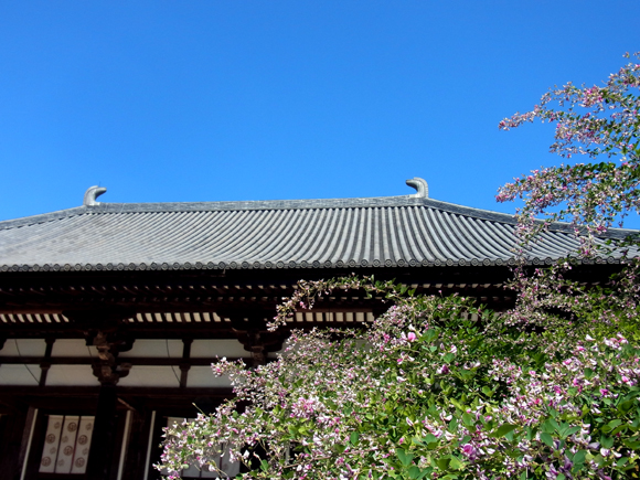 e0083517_0472410.jpg