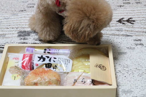 b0197418_16172350.jpg