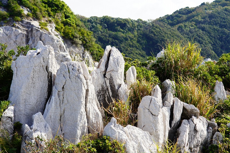 c0119618_758630.jpg