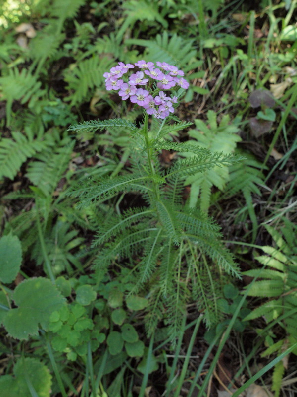 c0085622_2124349.jpg