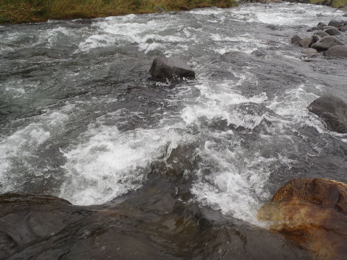 f0103126_22355820.jpg