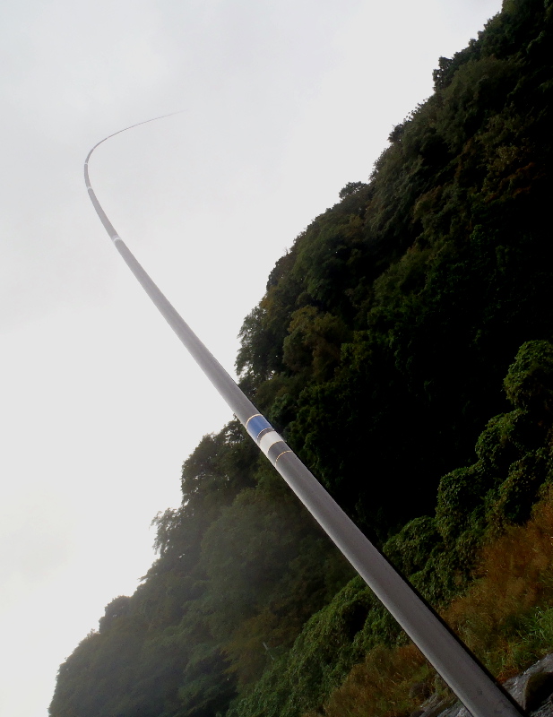 f0103126_2237784.jpg