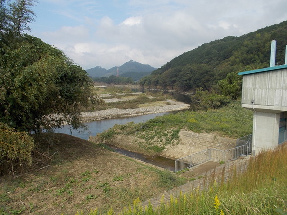 f0111128_8105163.jpg