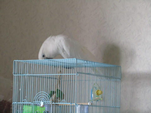 e0107730_20101980.jpg