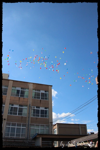e0246732_2337213.jpg