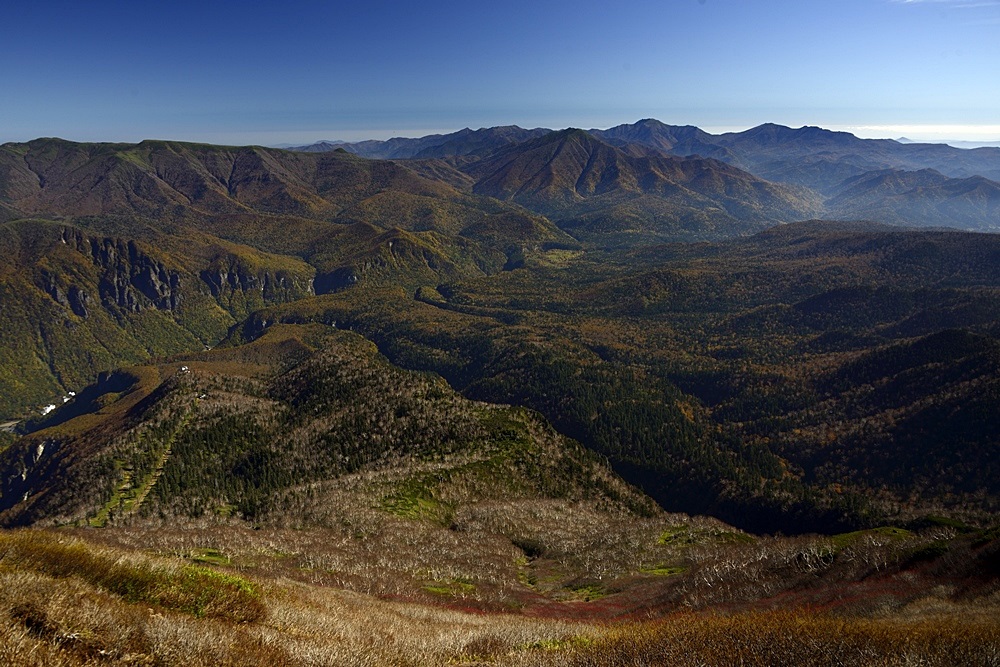 c0221838_17412417.jpg