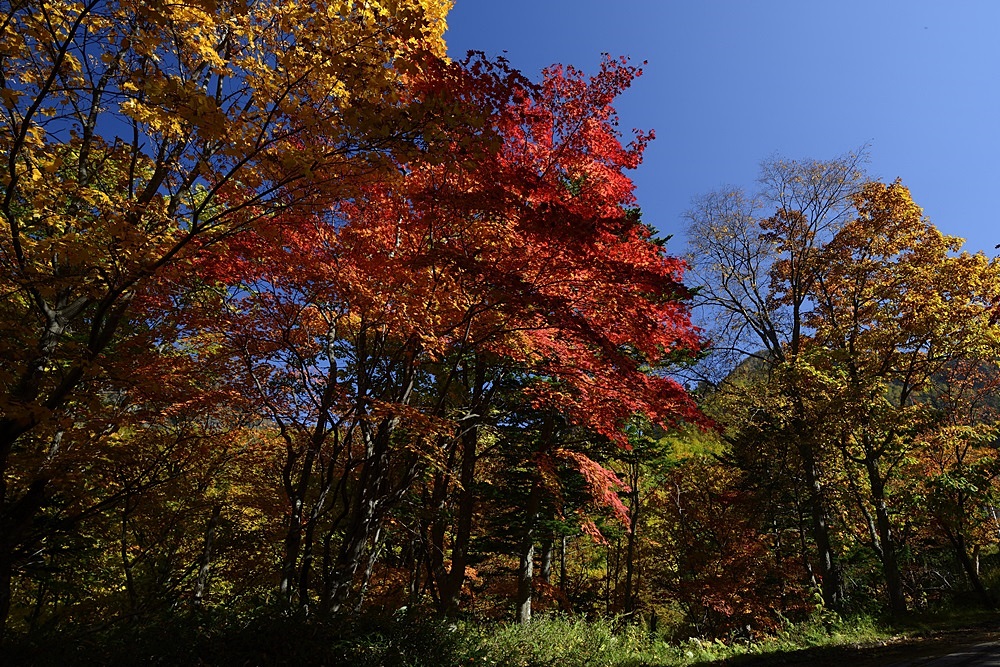 c0221838_17423878.jpg