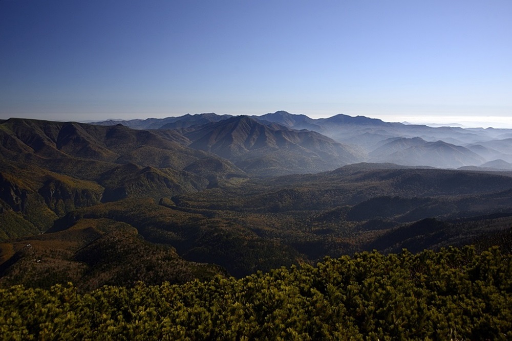 c0221838_2359258.jpg