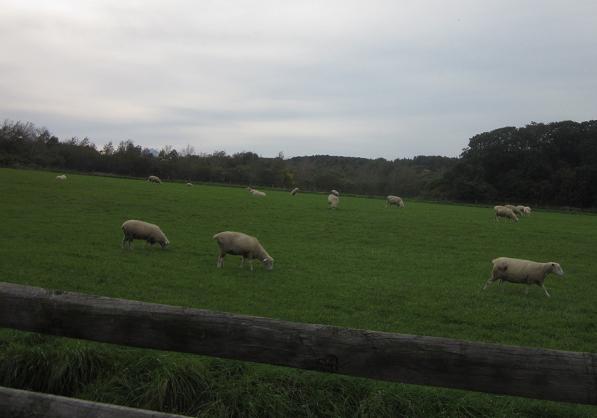 c0234938_08672.jpg