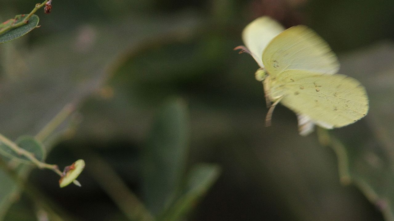 c0172139_1143495.jpg
