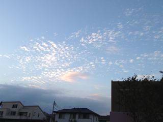 f0179947_22475995.jpg