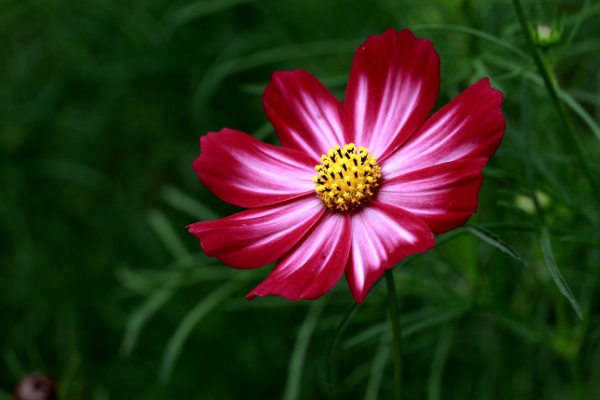 a0120949_6402267.jpg